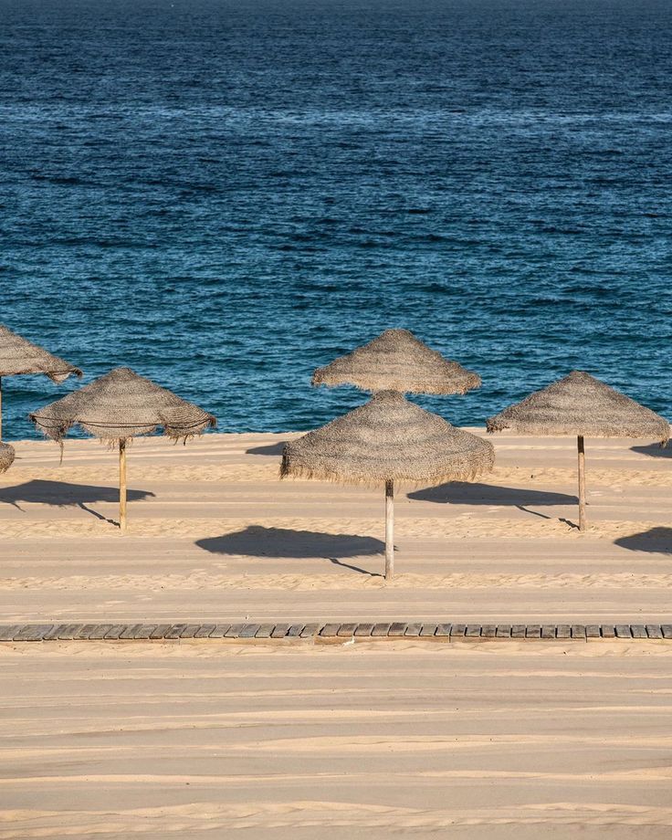 Lazy days under straw umbrellas